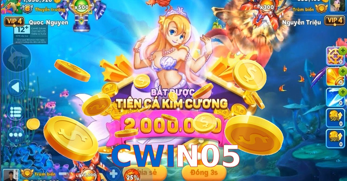 CWIN05